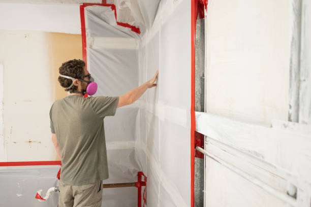 Best Mold Documentation for Insurance Claims  in Linden, AL