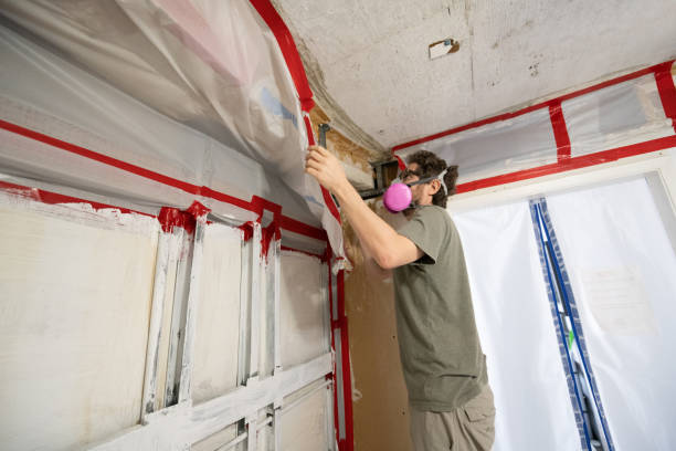Best Emergency Mold Remediation  in Linden, AL