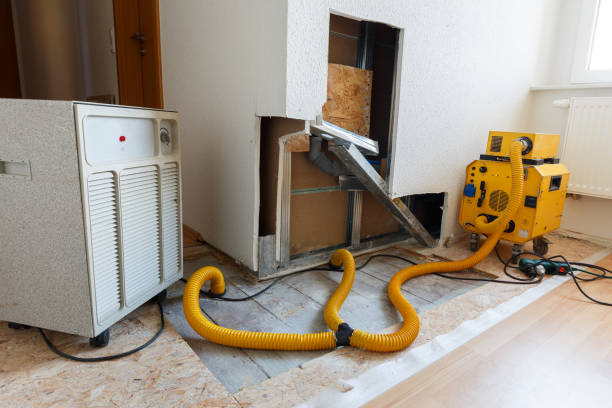 Best Asbestos and Lead Testing During Mold Inspection  in Linden, AL