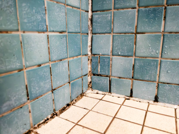 Best Air Quality Testing for Mold Spores  in Linden, AL