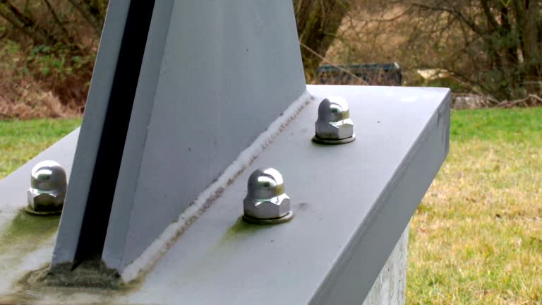 Best Post-Construction Mold Inspection  in Linden, AL